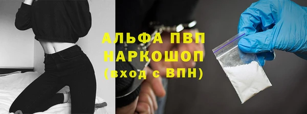 стафф Алексин