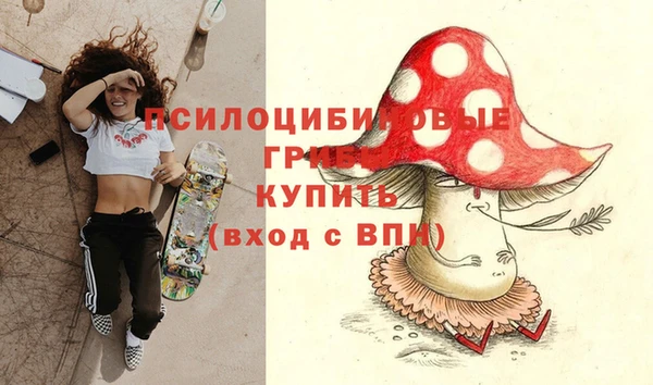 гашик Алзамай
