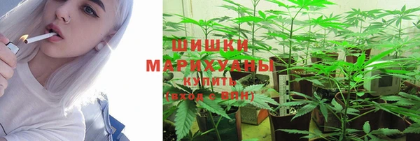гашик Алзамай