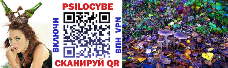где найти   Новый Оскол  ОМГ ОМГ зеркало  Галлюциногенные грибы Magic Shrooms 