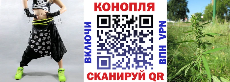 Бошки марихуана план купить закладку Новый Оскол